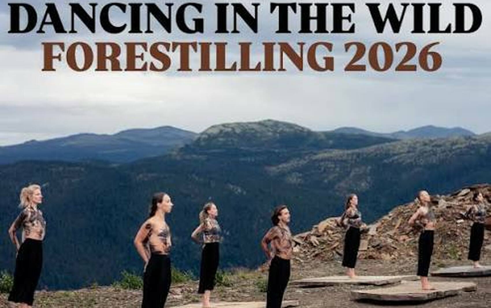 Dancing in the wild